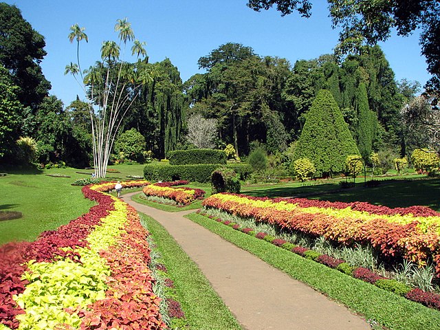 Kandy Sri Lanka Royal Botanical Gardens